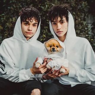 @lucas_dobre & @marcusdobre on Instagram (With images) The d