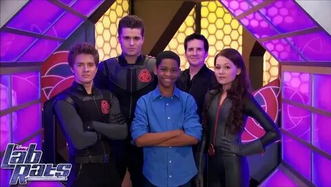 Подопытные 4 сезон / Lab Rats (2015): фото, кадры и постеры 