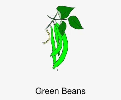 How To Set Use Green Beans Clipart - Free Transparent PNG Do