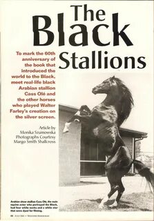 Cass Ole' !! - The Black Stallion Black stallion, Horse movi
