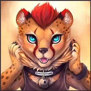 Cheetahpaws - YouTube
