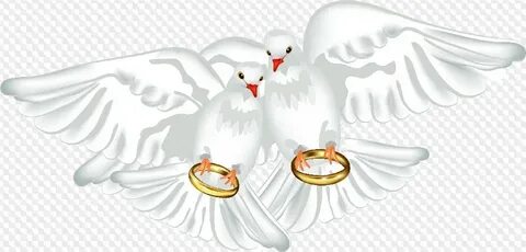 PSD, 15 PNG, palomas de la boda, anillos de bodas, gráficos 
