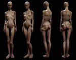 Skinny! Anatomy for artists, Statue, Zbrush