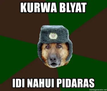 KURWA BLYAT IDI NAHUI PIDARAS - army-dog Meme Generator