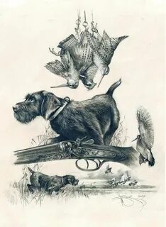 Field Hunting Signed Print by Valery Siurha German Wirehaire