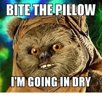 BITE THE PILLOW IM GOING IN DRY Pillow Meme on awwmemes.com