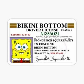 Spongebob Squarepants Drivers License Stickers Redbubble