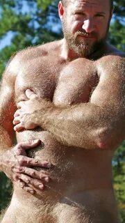 Hot Gay Hairy Muscle Bear - nomadteafestival.eu