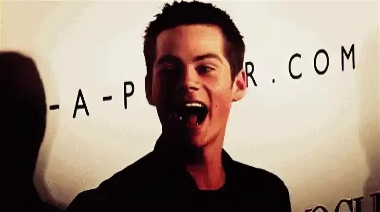 Dylan O Brien Laugh GIF - Dylan O Brien Laugh Omg - Discover