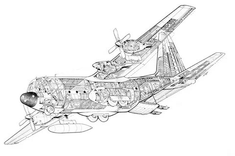 Lockheed C-130 Hercules Cutaway Drawing in High quality