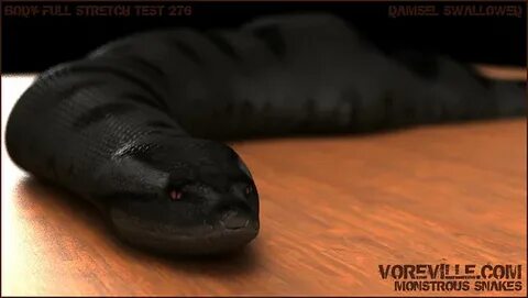 Voreville Anaconda Body Stretch Test Here's another shot o. 