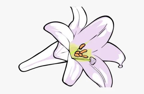 Easter Lily Clipart - Lily, HD Png Download , Transparent Pn