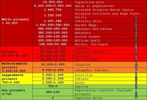 Alimentazione vegetariana, suggerimenti, consigli e ricette