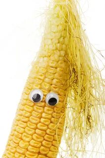 funny-corn-face - VeganPlantBasedHealth.com