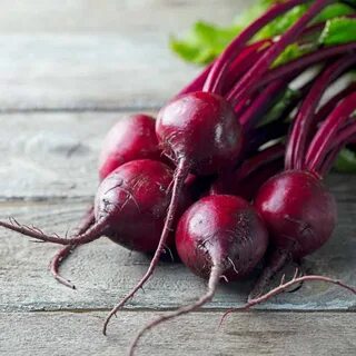 famous BABYBEAT BEET Seeds The Best Beet Mini Heirloom Veget