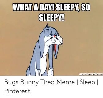 🐣 25+ Best Memes About Meme Sleep Meme Sleep Memes