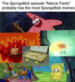 I know some are dead memes but hey! r/BikiniBottomTwitter Sp