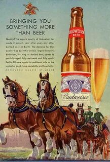 100+ Budweiser Vintage Ads And Posters Budweiser beer, Budwe