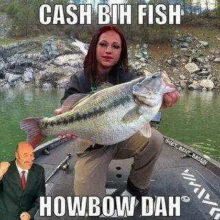 Pin by Sarge Williams on Fishing Meme Fishing memes, Funny f