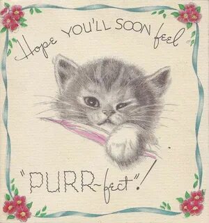 Pin by Marcie Fleischman on Quick notes Get well soon cat, G