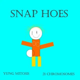 Snap Hoes Yung Mitosis, 21 Chromosomes слушать онлайн на Янд