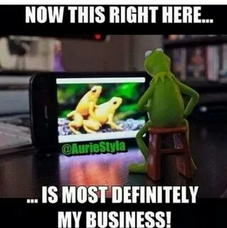 Funny Kermit The Frog Memes - Jokes Etc - Nigeria