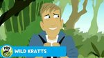 WILD KRATTS Jungle Adventure PBS KIDS - YouTube