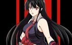 Akame from Akame ga Kill! Anime Wallpaper 2k Quad HD ID:7807