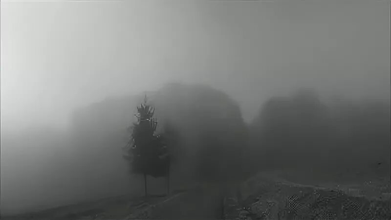 Fog foggy GIF - Find on GIFER