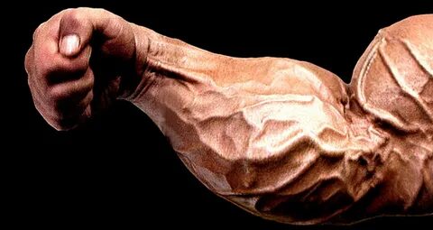 Build Massive Forearms with this Workout - Generation Iron