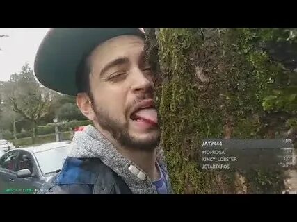 CAPTAIN CONTENT LICKS A TREE ON STREAM!? Captain Content Hig