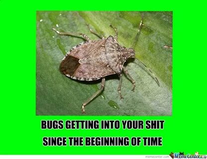 Mems Bugs Related Keywords & Suggestions - Mems Bugs Long Ta
