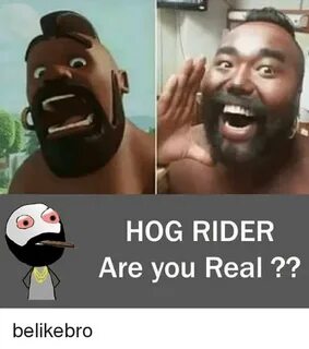 HOG RIDER Are You Real ?? Belikebro Meme on astrologymemes.c