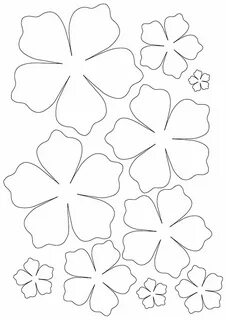 Moldes para flores de papel Paper flower patterns, Paper flo