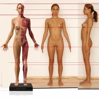 Female Body Part Fetish - Heip-link.net