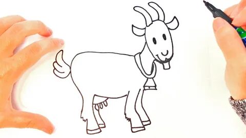 Easy Goat Drawing at GetDrawings Free download