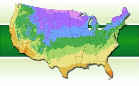 Gurney's: Find Your USDA Hardiness Zone with our Zone Map Pl