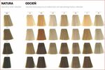 Ion Demi Permanent Hair Color Chart - New Trends