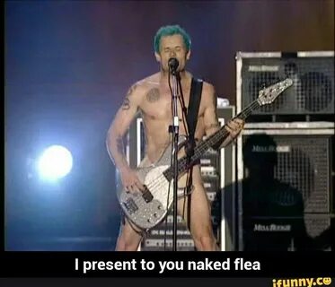 Flea Naked And Other Strange Tales - nomadteafestival.eu