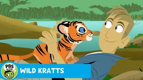 WILD KRATTS Dingy Ride PBS KIDS - YouTube