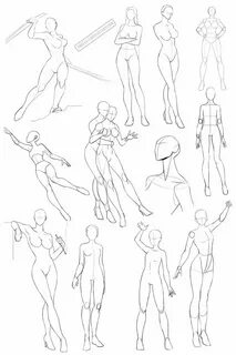 Female anatomy 2 by Precia-T on deviantART Drawing poses, Dr