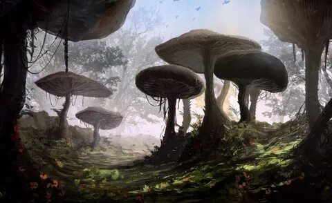 Mushroom Forest by Dario Marzadori Elder scrolls art, Fantas