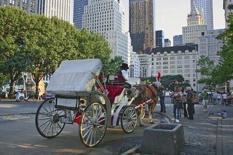 File:New York. Central Park. Carriage (4249565692).jpg