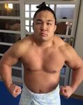 Why would someone want to become a sumo wrestler? - Quora