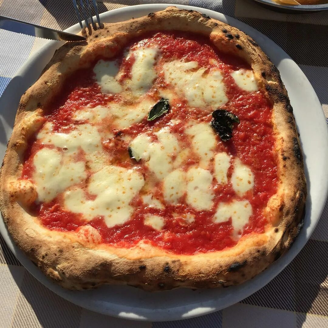 томато пицца неаполитанская отзывы фото 112