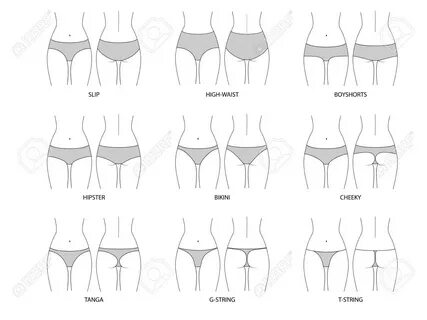 Types Of Women's Panties. Front And Behind View. Set Of Unde