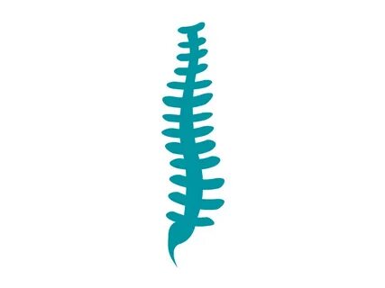 Spine clipart png, Picture #525788 spine clipart png
