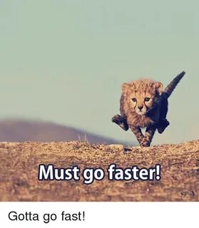 Must Go Faster! Gotta Go Fast! Meme on SIZZLE