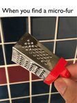 when you find a micro-fur The Cheese Grater Image Know Your 