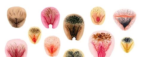 Vulva Shapes - Porn photos. The most explicit sex photos xxx